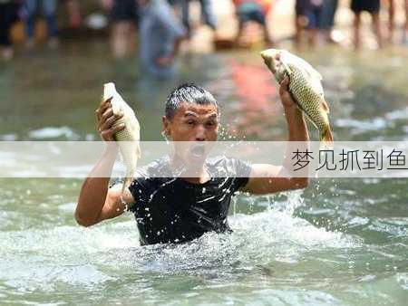 梦见抓到鱼