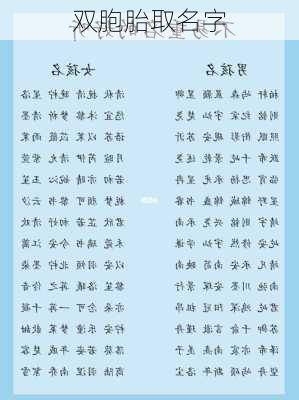 双胞胎取名字