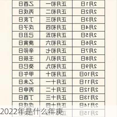 2022年是什么年庚