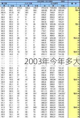 2003年今年多大