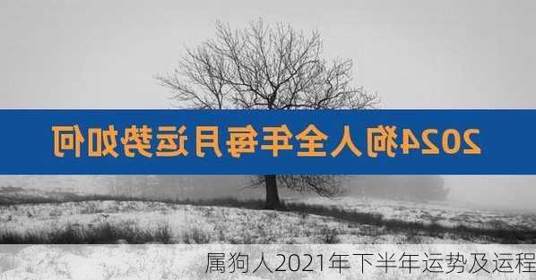 属狗人2021年下半年运势及运程