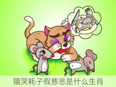 猫哭耗子假慈悲是什么生肖