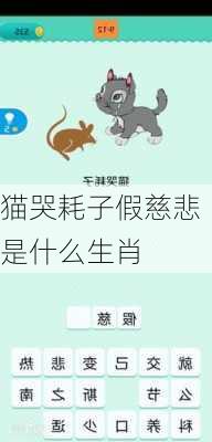 猫哭耗子假慈悲是什么生肖