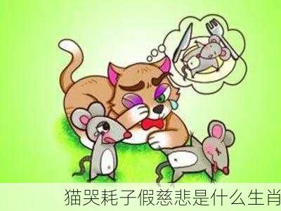 猫哭耗子假慈悲是什么生肖