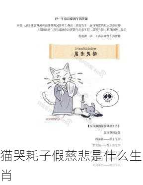 猫哭耗子假慈悲是什么生肖