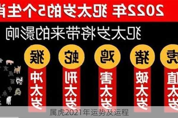 属虎2021年运势及运程