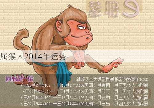 属猴人2014年运势