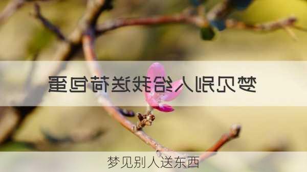 梦见别人送东西