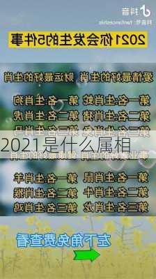 2021是什么属相