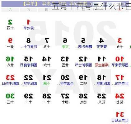 五月十四号是什么节日