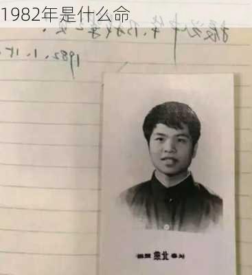 1982年是什么命