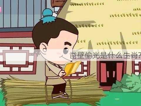 凿壁偷光是什么生肖?