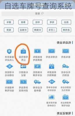 自选车牌号查询系统