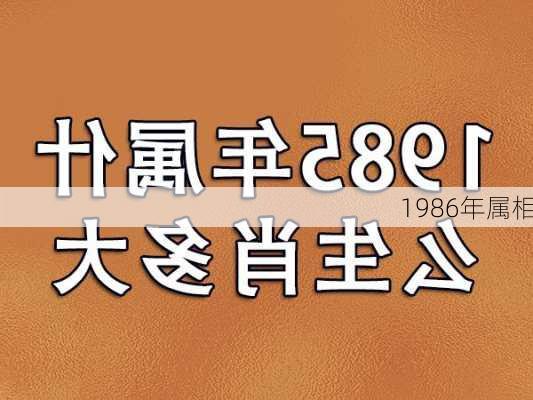 1986年属相