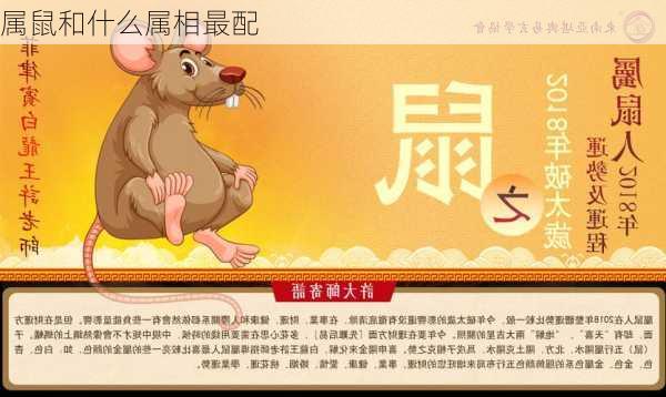 属鼠和什么属相最配