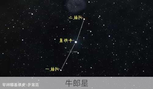 牛郎星