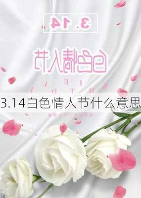 3.14白色情人节什么意思