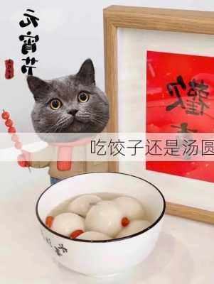 吃饺子还是汤圆