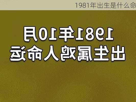 1981年出生是什么命