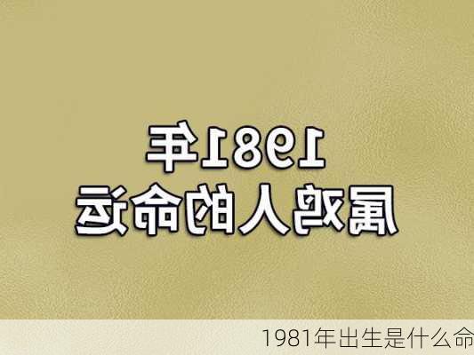 1981年出生是什么命