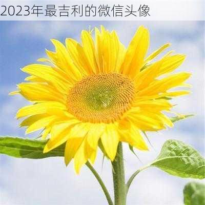 2023年最吉利的微信头像