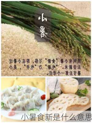 小暑食新是什么意思