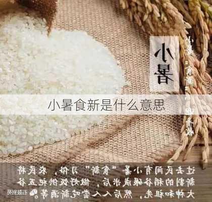 小暑食新是什么意思