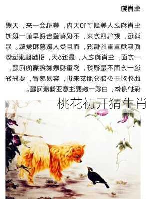 桃花初开猜生肖