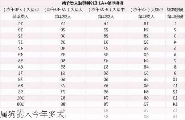 属狗的人今年多大