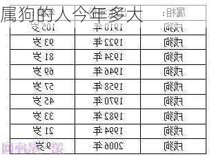 属狗的人今年多大