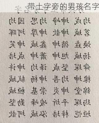 带土字旁的男孩名字