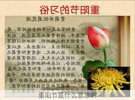 重阳节是什么意思啊