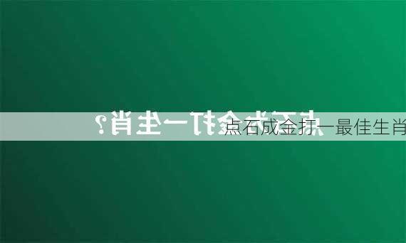 点石成金打一最佳生肖