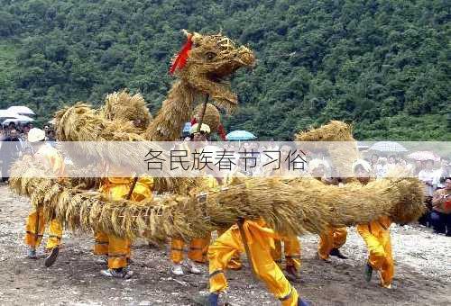 各民族春节习俗