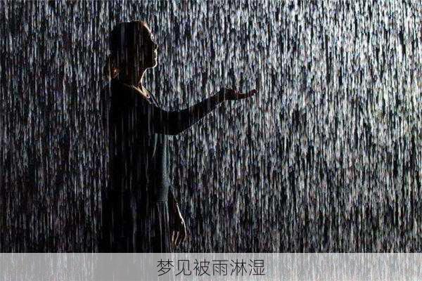 梦见被雨淋湿