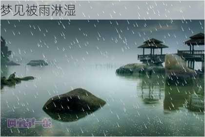 梦见被雨淋湿