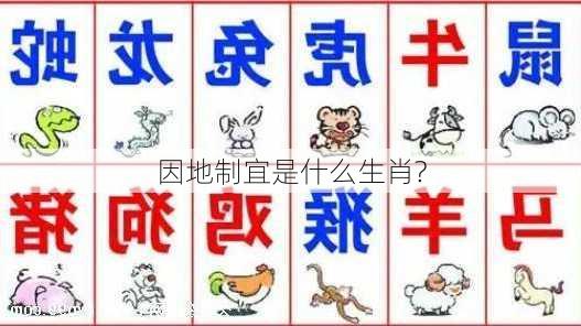 因地制宜是什么生肖?