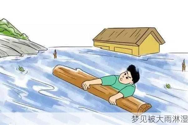 梦见被大雨淋湿