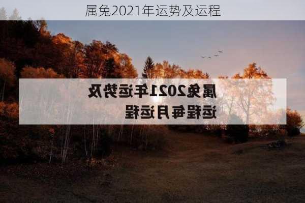 属兔2021年运势及运程