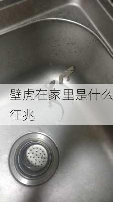 壁虎在家里是什么征兆