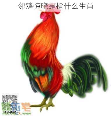 邻鸡惊晓是指什么生肖