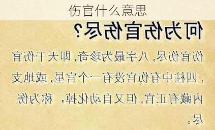 伤官什么意思