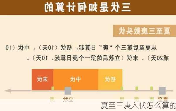 夏至三庚入伏怎么算的