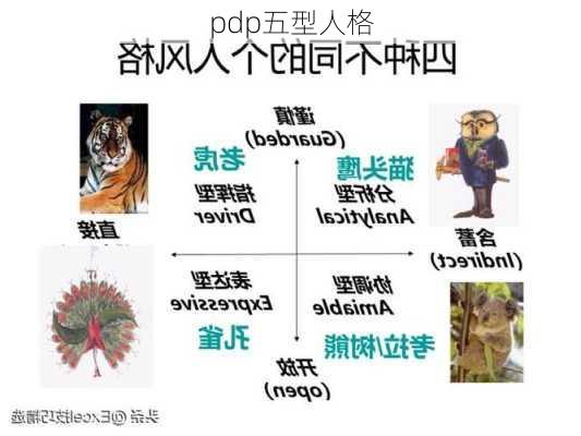 pdp五型人格