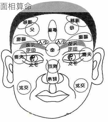 面相算命