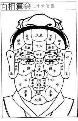 面相算命