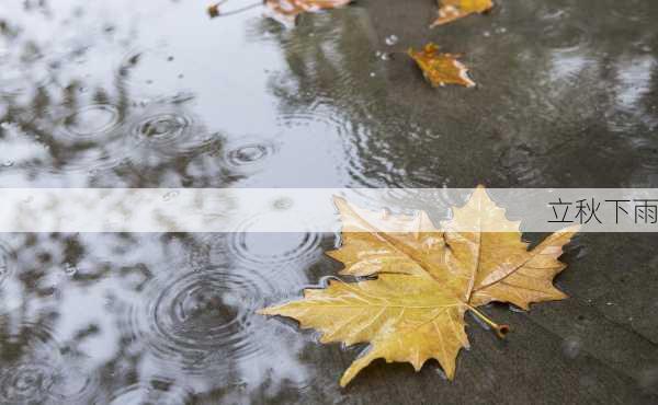 立秋下雨