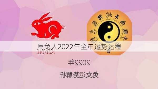 属兔人2022年全年运势运程