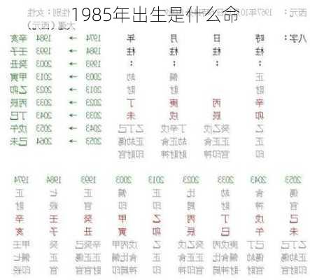 1985年出生是什么命