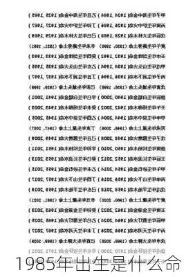 1985年出生是什么命